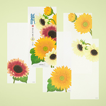 「紙シリーズ」盛夏レター